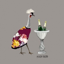 ''Posh Bird ''  Birthday Card by Scaffardi